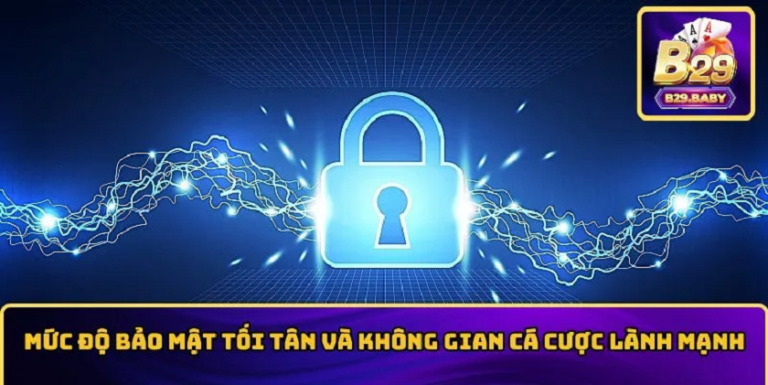 B29