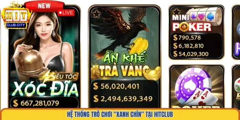 HITCLUB